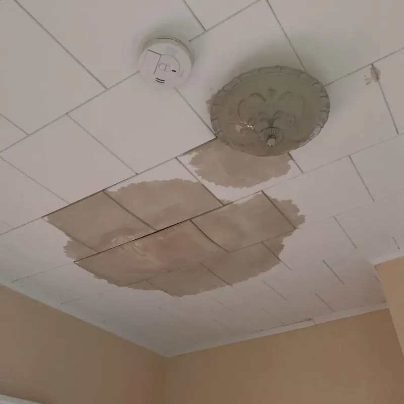 Ceiling Water Damage Repair in Clay County, TN