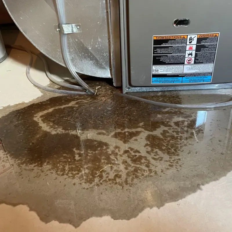 Pipe Burst and Leak Restoration in Clay County, TN