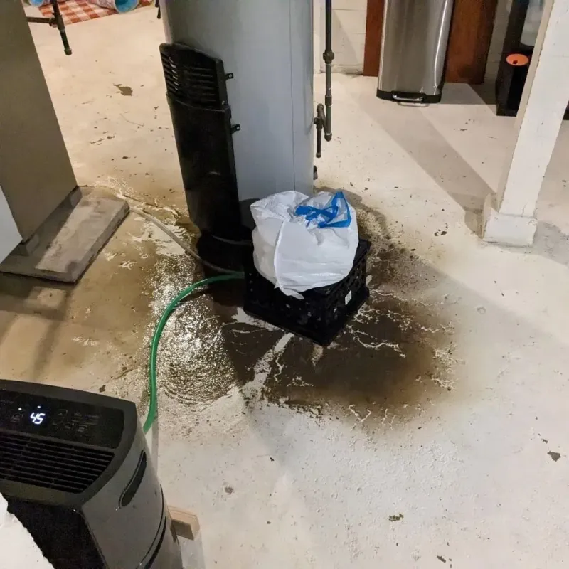 Sewage Backup Cleanup Service in Clay County, TN